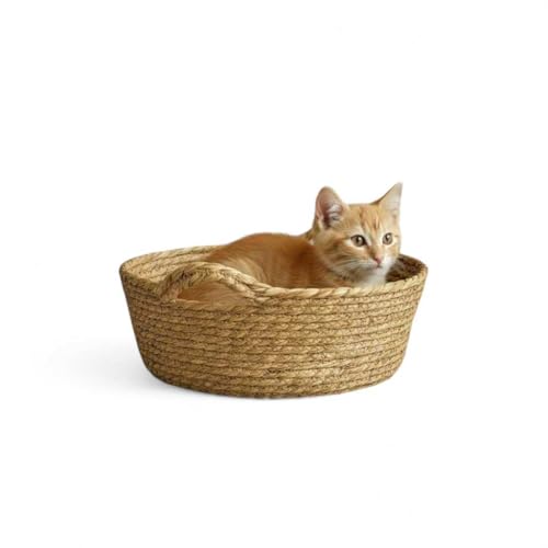 ybgxbh  L V[OX ҂ VRf i`CeA NbVt 􂦂NbV OK ʋC 2TCY  킢 y ^ѕ֗ bNX^C  k i`fUC SC-617 (S)