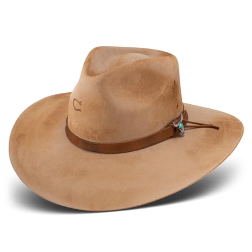Charlie 1 Horse Tan Lakota 3 1/2