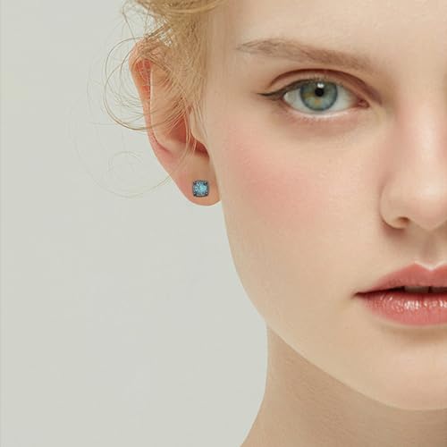 Black Stud Earrings 925 Sterling Silver Black Onyx/Cubic Zirconia Stud Earrings Jewelry Gifts for Women Men4