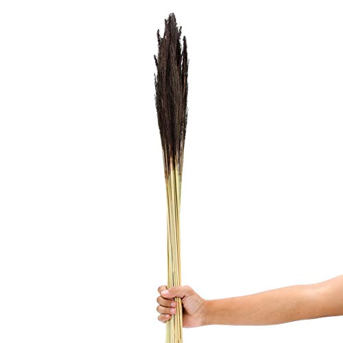 Image of Leewadee Decorative Twigs - Dried and Colored Grass Stems for Vases, Loose Grass for Home and Business Decoration, 47 inches, Brown