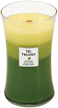 WoodWick Trilogy - Apple Festival Fragranced Candle in Glass Jar With Pluswick 21.5oz - Homewares
