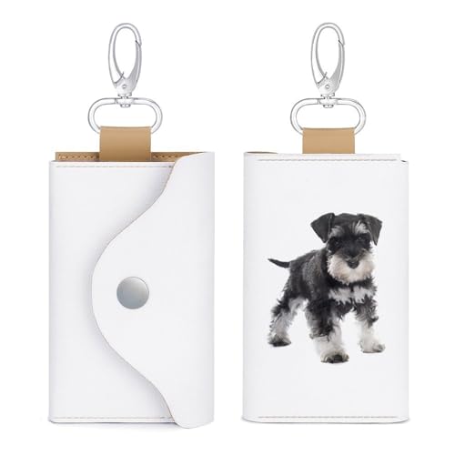 [ESASAR] L[P[X ~j`AViEU[  z ԃY fB[X J[hKey Case L[z_[ PUU[ K J[hP[X 6AL[tbN Jrit e rWlX v[g