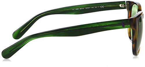 El mejor review de Gafas sol ralph al mejor precio. 28 Imagen adicional