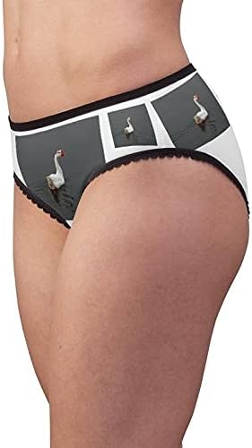 SpreadPassion Duck Panties, Duck Underwear, Briefs, Cotton Briefs, Funny Underwear, Panties For Women