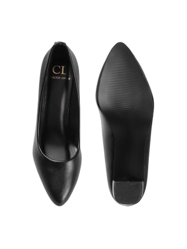 Image of Carlton London Women Stylish Slipon Pump Shoes with Block Heels, Pointed Toe for Party and Formal Occasions