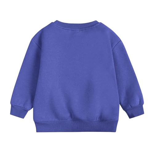 Girls Fall Pullover Long Sleeve Fleece Lined Side Slits Sweatshirt Tops Fashion Soft Comfy Crewneck Sport Pullover2
