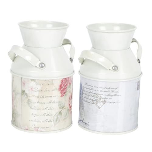 Toyvian Maceta de Hierro 2 Piezas Cubo para Plantas y Flores Uso Oficina y Hogar Mini Jarrón Decorativo Vintage Almacenamiento de Escritorio Detalle para Aficionados a Plantas