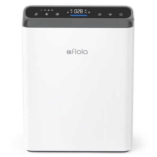 Air Purifier for Large Rooms