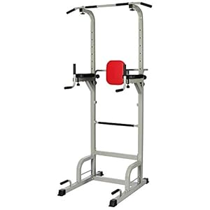 Everyday Essentials Power Tower with Push-up, Pull-up and Workout Dip Station for Home Gym Strength Training, Gray