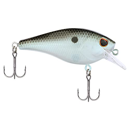 Berkley SquareBull Fishing Hard Bait, Green Shad, 2in - 1/4 oz