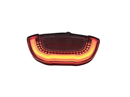 TunerX-Factory 2019-2021 For Honda CBR650R CB650R CB250R CB300R LED Integrated Taillight Combo Indicators L+R Smoke