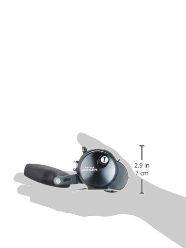Amazon.com : Shimano Bait Reel Double-Axis Oshiajiger, F Custom
