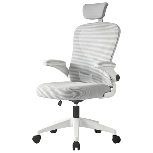 ROOMAX オフィスチェア 高機能 デスクチェア  メッシュチェア ランバーサポート 可動ヘッドレスト 跳ね上げアームレスト SGS認証ガスシリンダー 静音キャスター 通気性 在宅勤務 学習用 グレー