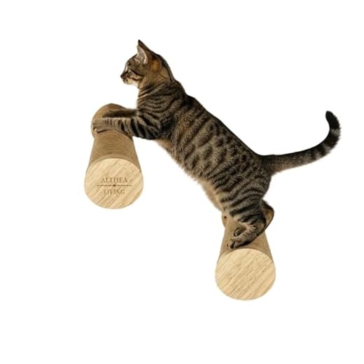 Peldaños de Escalada para Gatos de Pared con Rascador de Yute | Estantes Flotantes de Madera Resistente 30 cm | Plataforma de Pared para Gatos Medianos y Grandes | Pack de 2 – Althea Living