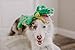 Outward Hound Squeaker Matz Plush Gator Dog Toy, XXL