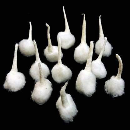 RATNA Pure Handmade Cotton Puja Wicks/Round Cotton Wicks/Diya Batti for Puja aarti....