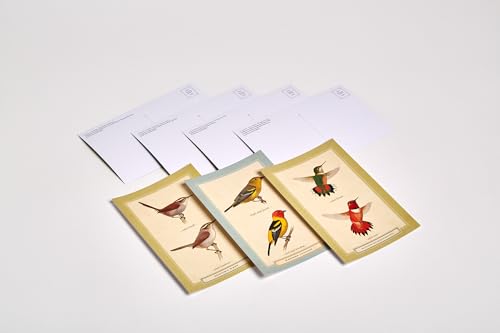 Sibley Backyard Birding Postcards: 100 Postcards