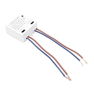Plafondlampcontroller, slimme controller Geen router vereist 50 meter 2.4G afstandsbedieningshendel voor slimme luidsprekers voor thuis