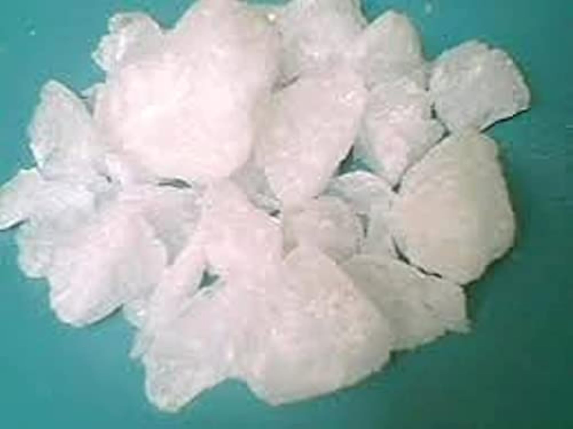 Alum Stone for Teeth, 200 Grams