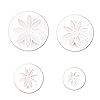 Cake Plungers Daisy Pattern Fondant Cookie Biscuit Mallen Bakken Embossing Tools 4st Suiker Craft Mallen