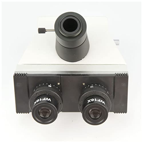 ���{�p�������A�N�Z�T���[ �����o��_�o�ᐶ�̌������w�b�h(Silver)