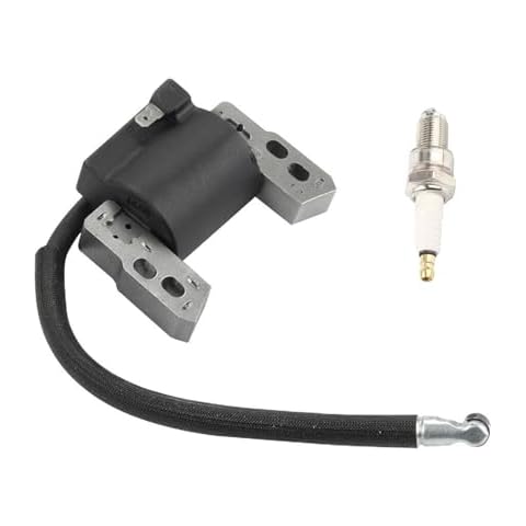 RYTIME 590454 Ignition Coil Compatible with Briggs & Stratton 796964 695711 555530 557040 802574 492416 493237 491760 792631 799381 790817 692605 802574 Magneto Armature 12H802 Engine with Spark plug Cover
