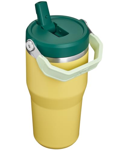 Image of STANLEY IceFlow 2.0 Flip Straw Tumbler with Handle 20 oz | Twist On Lid and Flip Up Straw | Leak Resistant Water Bottle | Insulated Stainless Steel | BPA-Free | Daffodil Emerald