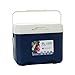 Aymzbd Cooler Box Insulated Box with Handle for Freeze/Hot Food Ice Chest Small Ice Box for Outdoor Sport Drink Party Camping, Blue