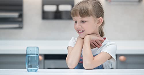 Geekpure Cartuccia filtro di ricambio per blocchi