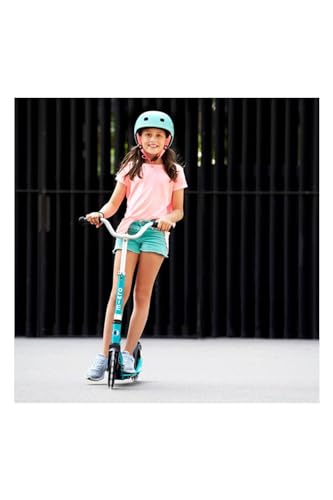 Micro Kickboard Cruiser LED Scooter