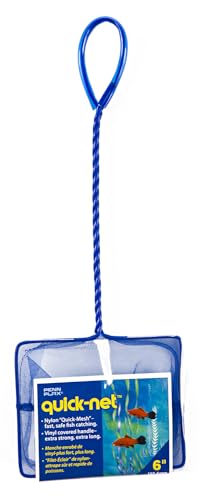Image of PENN-PLAX Quick-Net Aquarium Fish Net - Durable, Strong, and Safe - Color May Vary (Blue or Green) - 6 inch x 5 inch Net - 10 inch Handle (Pack of 2)