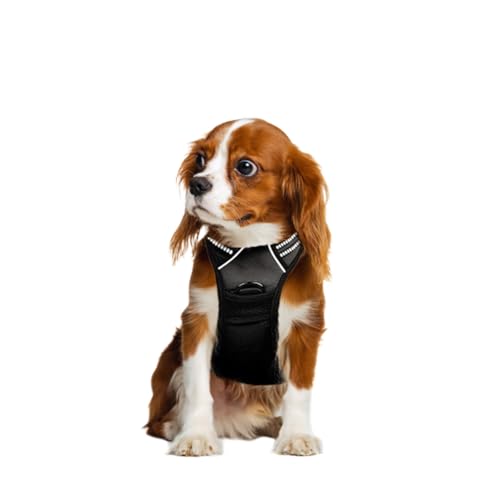 FurryWheels Black No Pull Pet Dog Harness with Reflective Strips Breathable Comfortable Adjustable Soft Padded Dog Vest Easy Control Handle for Training or Walking (Small)