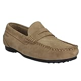 Sebago