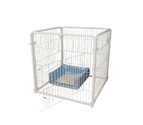 ZVTU hAtybgpxr[T[NA/OpAtFXA^ELpAutFXAxr[T[NAAfUCAybg̒Ehpld؂A120×60×60cmA6̃plAybg̒EhAfUCB (zCg,50