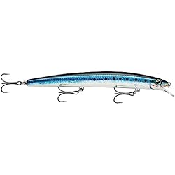 Señuelo Sardina Rapala Bx Brat-Material Cuerpo de Balsa-Señuelo Pesca en Agua Dulce-Profundidad de Nado 0,9m-5cm/10g-Hecho en Estonia-Blue Ghost, Unisex-Adult, Live Sardine, 17 cm / 28 g