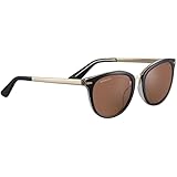 JODIE Shiny Black Transparent Inside Shiny Light Gold Metal - Mineral Non Polarized Drivers