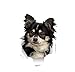 OGJFLT Auto Sticker Autoaufkleber Lustig Dog 2Pcs 15Cm Persönlichkeit Auto Aufkleber Niedlich 3D Zerrissenes Metall Chihuahua Hund Vinyl Wasserdicht Autofenster Zubehör Reflektierendes PVC