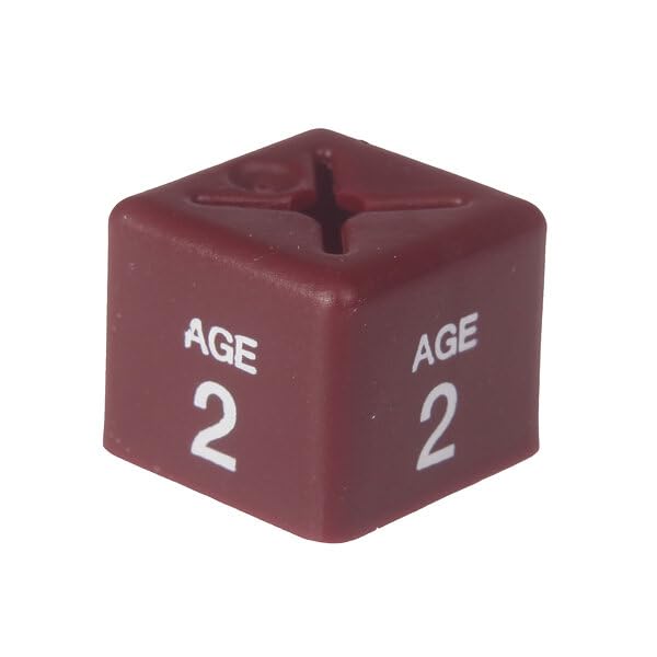 100 x Garment Clothes Marker Size Numbers: Color Size Cubes for Hanger Displays - Organize Wardrobe, Boutique - Various Sizes, Colors Available (AGE 2)