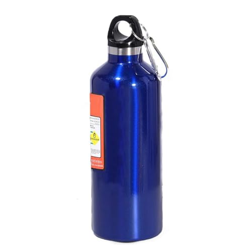Sport Trinkflasche mit Haken 500ml Sportflasche Wasserflasche aus BPA-Frei, Flaschen Outdoor Aktivitäten Auto Lebensmittel rostfrei Water Bottle für Kinder, Schule, Sport, Fahrrad, Fitness (Blau)