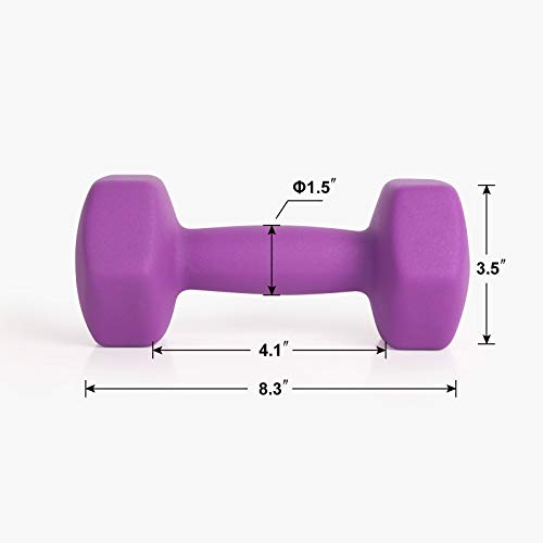 Lionscool Neoprene Coated Dumbbell Weights (Purple 10Lb Pair) #TOP3