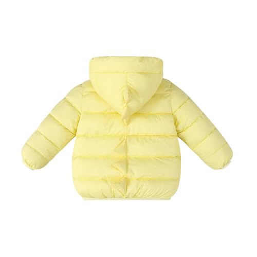 Toddler Cute Dinosaur Puffer Jacket Girls Boys Zip Up Quilted Long Sleeve Padded Down Hooded Winter Coat for 2-7 Years4