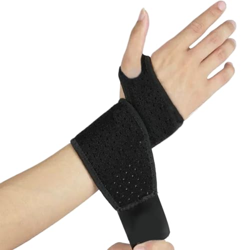 Xgu[X - T|[gtBbglXXgK[hAe[\уbsOGXeBbN|yʂ̃bvAEhvX|[cXgیAW̎񈳏kXgbv