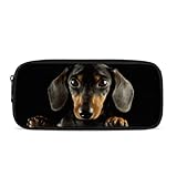 POLERO Estuche para lápices, estuche para lápices para niños y niñas, bolsa de papelería, suministros escolares, Perro Dachshhund, Talla única, Mochila escolar