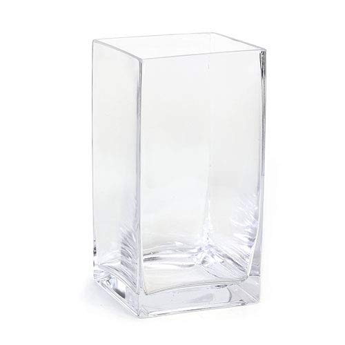 Square Glass Vase for Bamboo Plants Amazon.in Garden & Outdoors