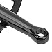 BOLORAMO Guarnitura Single Speed, Guarnitura Pedivella BCD130mm per MTB per Mountain Bike(Black)