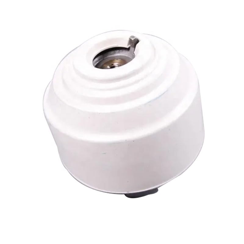 リッジウェイ 英国骨董 イギリス アンティーク 2枚 手描き ハンドペイント