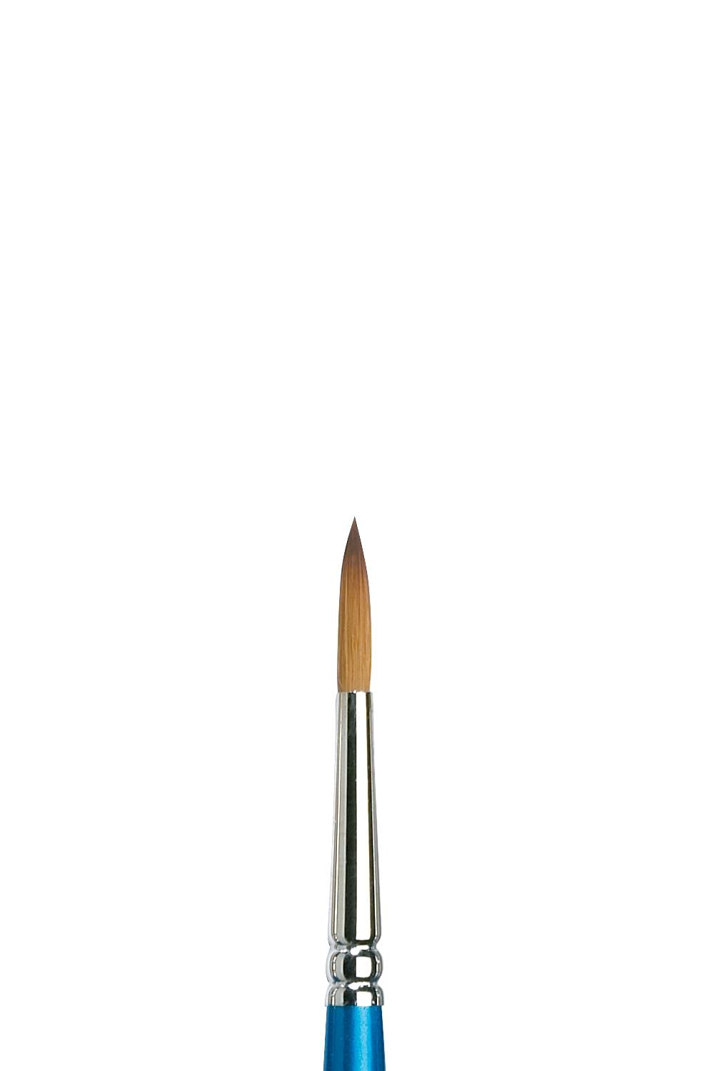 Winsor & Newton Brush, Wood, Transparent, No 6 -. 3.6 mm, round - brush, short handle