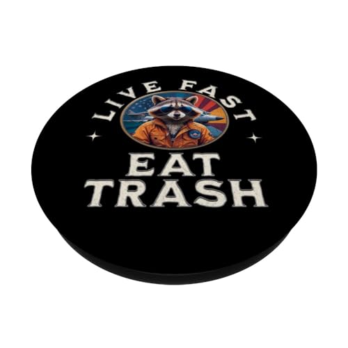 Live Fast Eat Trash Sunset Raccoon Vintage Jet Pilot PopSockets Swappable PopGrip, Black - Image 2