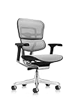 Ergohuman Eurotech ME8ERG GEN2 High Back Mesh Office Chair with Tilt Tension Control, Tilt Lock, Back Angle, Back Height, Synchro Tilt, Seat Height, Seat Depth, and Arm Height Adjustments, Grey