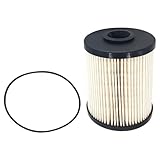 VISVIC F55360 Fuel Filter With O-ring Compatible with 2000-2010 Dodge Ram 2500 3500 Replaces#